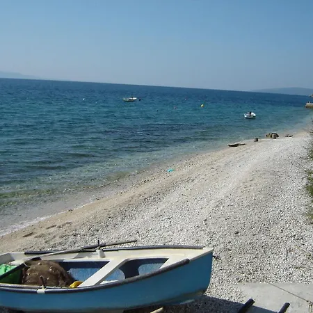 Danka * بريست